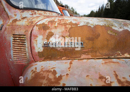 Die Verchromten "F-500"-Logo auf der Seite der Haube auf einem alten, rot 1953 Ford F-500 farm Lkw, in einem Steinbruch, östlich von Clark Gabel Idaho. Stockfoto