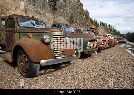 Ein 1939 GMC Lkw, in einer Linie der alten Lkw, an einem alten Steinbruch, östlich von Clark Gabel Idaho. Stockfoto