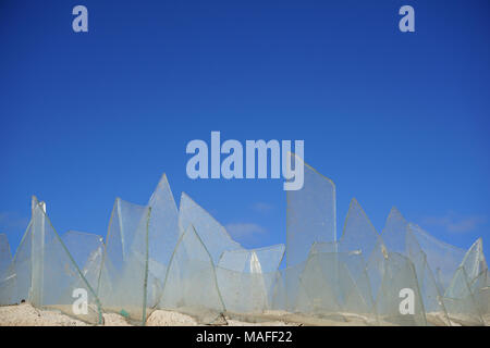 Zerbrochenes Glas oben an einer Wand, Mindelo, Sao Vicente, Kap Verde, Afrika Stockfoto