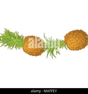 Ananas Obst vektor Muster auf weißem Hintergrund Stock Vektor