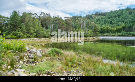 Idyllische Aussicht in der Nähe von Plockton Dorf in den Highlands von Schottland in der Grafschaft Ross und Cromarty. Stockfoto