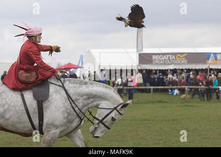 Tudor falconry Display mit Pferden Stockfoto