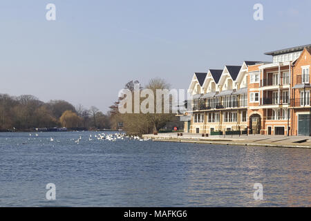 Häuser am Ufer der Themse im Royal Windsor Stockfoto