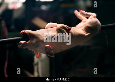 Schwein am Bügeleisen bar und fertig braten. Stockfoto