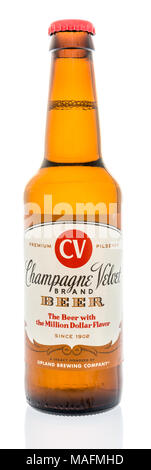 Winneconne, WI - 30. März 2018: eine einzige Flasche Champagner samt Bier in einem isolierten Hintergrund. Stockfoto