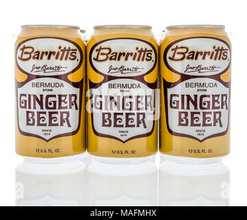 Winneconne, WI - 30 März 2018: ein Six Pack von Barritts Bermuca Ingwer Bier auf einem isolierten Hintergrund. Stockfoto