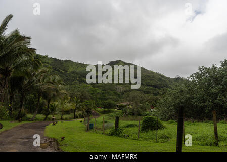 Innenraum Kauai Vista im Winter, Hawaii Stockfoto