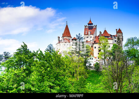 Schloss Bran, Rumänien. Atemberaubender Frühling Bild von Draculas Schloss in Kronstadt, Siebenbürgen, Osteuropa. Stockfoto