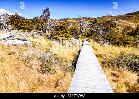 Torres del Paine, Chile. Herbst austral Landschaft in Patagonien mit Lago el Toro in Südamerika. Stockfoto