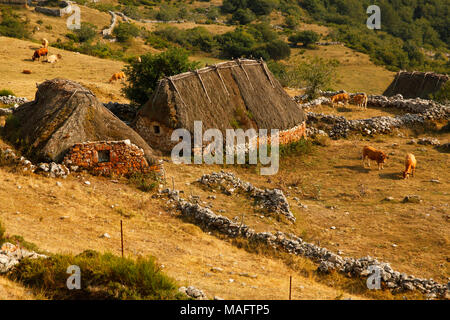 OKD HÄUSER IN ASTURIEN SPANIEN Stockfoto