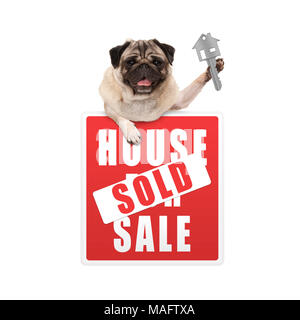 Happy mops Welpe Hund hängen mit den Pfoten auf dem Roten Haus verkauft Registrieren holding Hausschlüssel, auf weißem Hintergrund Stockfoto