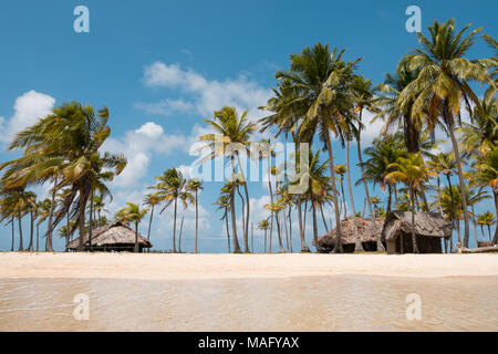 Strand Urlaub - Sommerurlaub auf der Insel Strand mit Palmen Stockfoto