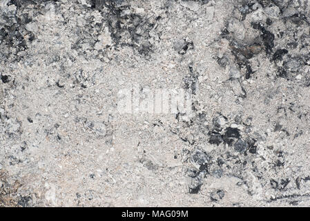 Ash in Kamin natürlichen Hintergrund Textur Stockfoto