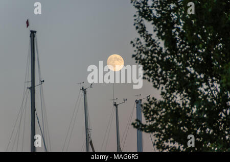 Mond über Segelboot Masten im Hafen mit Baum an der Vorderseite Stockfoto