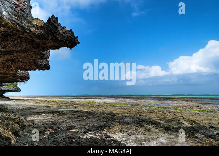 Bei Ebbe am Strand in Sansibar und blauer Himmel Stockfoto