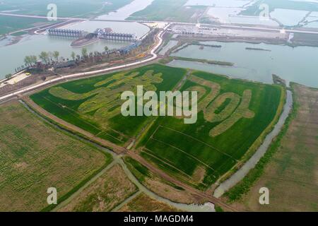 Yangzhou Yangzhou, China. 1 Apr, 2018. Yangzhou, China - 1. April 2018: Aus der Vogelperspektive Gaoyou Jiaoye Park in Yangzhou, der ostchinesischen Provinz Jiangsu. Credit: SIPA Asien/ZUMA Draht/Alamy leben Nachrichten Stockfoto