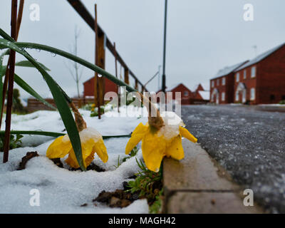 Ashbourne, Derbyshire. 2 Apr, 2018. UK Wetter: 1' von morgen Schnee schnell schmilzt verursacht Überschwemmung auf Ostern Feiertag Montag in Ashbourne, Derbyshire Credit: Doug Blane/Alamy leben Nachrichten Stockfoto