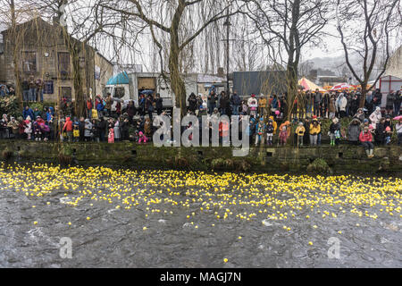 Hebden Bridge, West Yorkshire. 2 Apr, 2018. Die jährlichen Ostermontag Hebden Bridge Duck Race auf Hebden Wasser in der Stadt. Bis zu 10.000 einzeln nummerierten gelben Enten rennen Hebden Wasser bis zur Ziellinie am West End Brücke. Organisiert von der örtlichen Rotary Club alle Gewinne aus dem Duck Race und andere Club Veranstaltungen, sind die lokalen und nationalen Wohltätigkeitsorganisationen verteilt. Quelle: Steve Morgan/Alamy leben Nachrichten Stockfoto