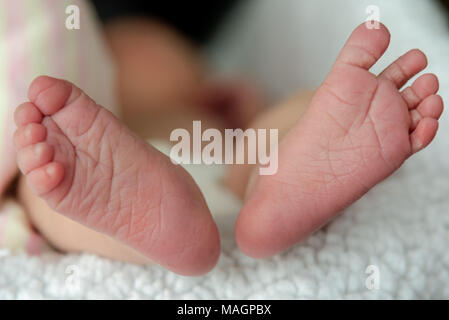 Nahaufnahme eines neugeborenen Babys Füße Stockfoto