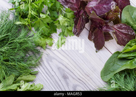 Auswahl an frischen Kräutern auf Holz- Hintergrund. Frisch geerntete Kräuter wie Basilikum, Rucola, Petersilie und Dill, kopieren. Machen Sie sich das Leben mo Stockfoto