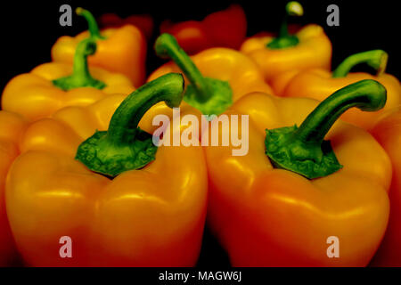 Orange Paprika auf einem schwarzen Hintergrund. Stockfoto