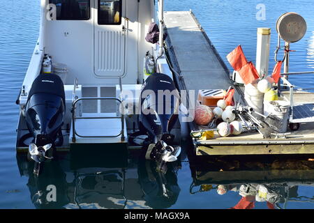 Twin Außenbordmotor Boot mit weißer Rumpf auf schwimmenden Steg. Stockfoto