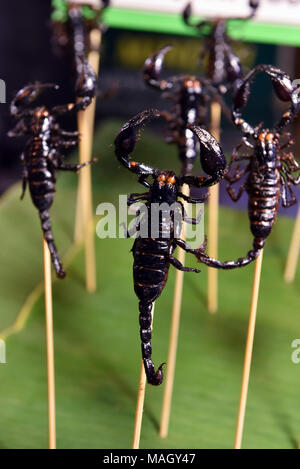 Essbare Skorpione im Verkauf, Chiang Mai, Thailand Stockfoto