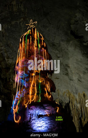 Ein Stalagmit namens „El Árbol de Navidad“ (Weihnachtsbaum) in den Grutas de García außerhalb von Monterrey, Mexiko Stockfoto