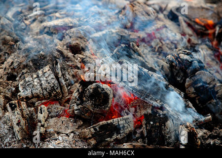 Holz mit der mittleren glühenden umgeben von Asche und Kohle verbrannt Stockfoto