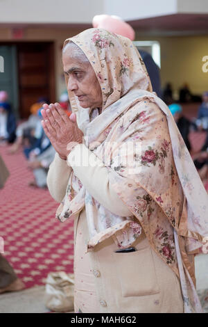 Portrait eines älteren Sikh Frau meditieren bei einer Hochzeit im Gurdwara Sikh Kulturellen Gesellschaft in South Richmond Hill, Queens, New York Stockfoto