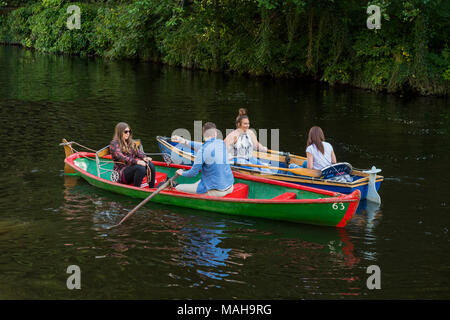 4 Personen fahren in Paaren, entspannend & Spaß in 2 Ruderboote Seite an Seite & über kollidieren - Flusses Nidd im Sommer, Knaresborough, England, UK. Stockfoto