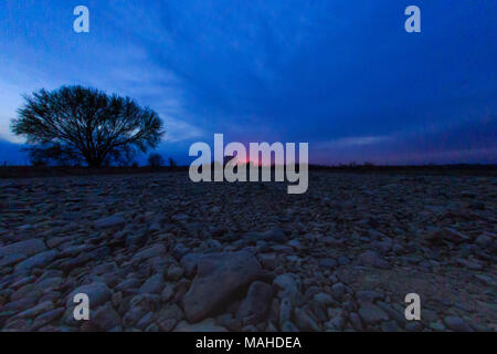 Die Sonne hinter dem Baum am Sequoyah National Wildlife Refuge in Vian, Oklahoma 2018 entfernt Stockfoto