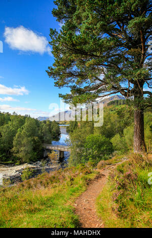 Glen Affric im westlichen Schottland, in der Nähe von Inverness Stockfoto