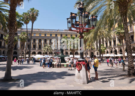 Plaça Reial ist ein Quadrat im Barri Gòtic von Barcelona, Katalonien, Spanien Stockfoto