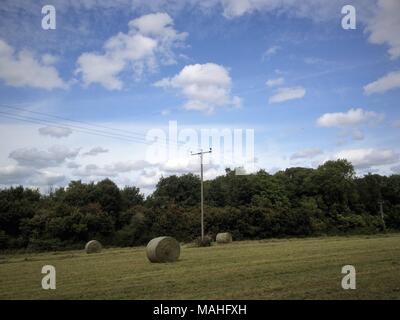 Heuballen auf einem leicht abfallenden Wiese Sammlung erwarten Stockfoto