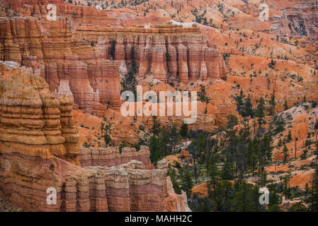 Hoodoos, Fairyland Canyon, dem Bryce Canyon National Park, Utah, USA, von Bruce Montagne/Dembinsky Foto Assoc Stockfoto