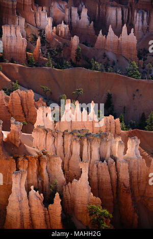 Bruce Amphitheater, Bryce Canyon National Park, Utah, USA, von Bruce Montagne/Dembinsky Foto Assoc Stockfoto