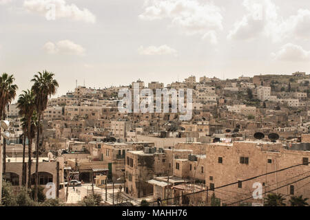 Blick auf die Stadt Bethlehem in den besetzten palästinensischen territorys mit Palmen im Vordergrund. Stockfoto