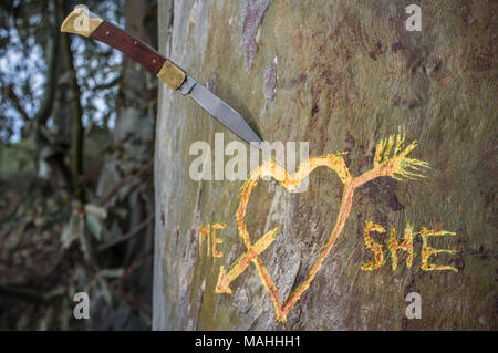 Birke mit geschnitzten Herz durchzogen von einer Liebe Pfeil und geschriebene Worte mich und Sie. Messer erstochen über Trunk Stockfoto