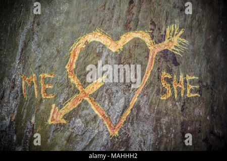 Birke mit geschnitzten Herz durchzogen von einer Liebe Pfeil und geschriebene Worte mich und Sie. Messer erstochen über Trunk Stockfoto