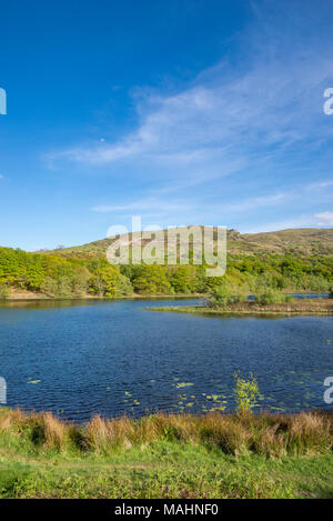 Llyn Tecwyn Isaf, einem natürlichen See in den Bergen in der Nähe von Harlech, North Wales. Frühlingssonne auf der grünen Landschaft rund um den See. Stockfoto