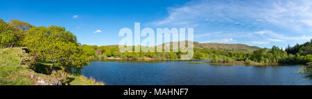 Llyn Tecwyn Isaf, einem natürlichen See in den Bergen in der Nähe von Harlech, North Wales. Frühlingssonne auf der grünen Landschaft rund um den See. Stockfoto