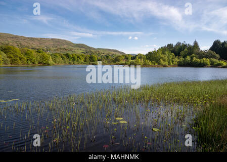 Llyn Tecwyn Isaf, einem natürlichen See in den Bergen in der Nähe von Harlech, North Wales. Frühlingssonne auf der grünen Landschaft rund um den See. Stockfoto