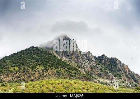 Schwarze Geier über Berg Klippen in der Sierra de Grazalema Naural Park (Parque Natural de la Sierra de Grazalema) in Andalusien, Südspanien Stockfoto