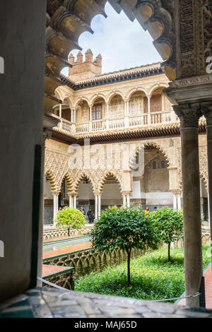 Patio de Las Doncellas innerhalb der Real Alcazar Palast (Reales Alcázares de Sevilla) in der spanischen Stadt Sevilla, Andalusien, Spanien Stockfoto