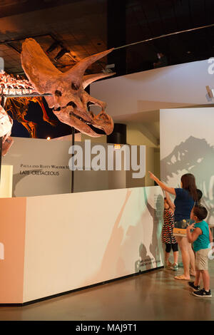 Eine Familie mit Kindern, die ein triceratops Dinosaurier Skelett Fossil im Houston Museum of Natural Science, Houston, Texas, USA Stockfoto