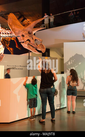 Eine Familie mit Kindern an einem triceratops Dinosaurier Skelett Fossil suchen, in einer Dinosaur Museum, USA Stockfoto