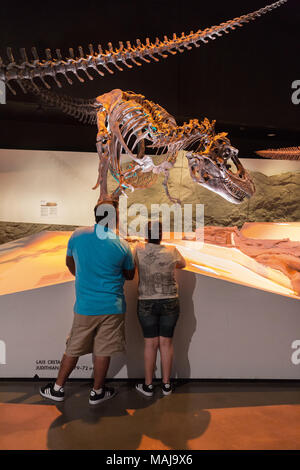 Ein Vater und Kind auf einem Dinosaurier fossilen Skelett, Houston Museum of Natural Science, Houston, Texas, USA Stockfoto