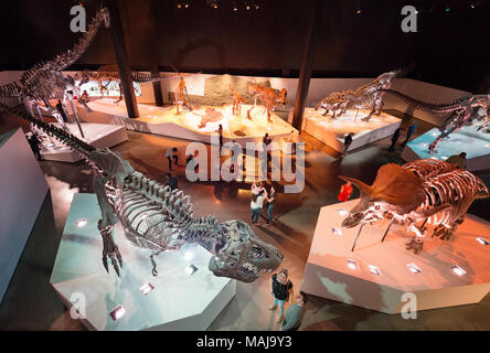 Besucher im Sauriersaal, Houston Museum of Natural Science, Houston, Texas, USA Stockfoto