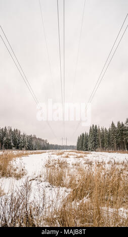 Stromleitungen im Wald im Winter mit Schnee und Weitwinkelobjektiv in Lettland Stockfoto